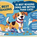 12 Best Reasons Why Dogs Are Better Than Cats